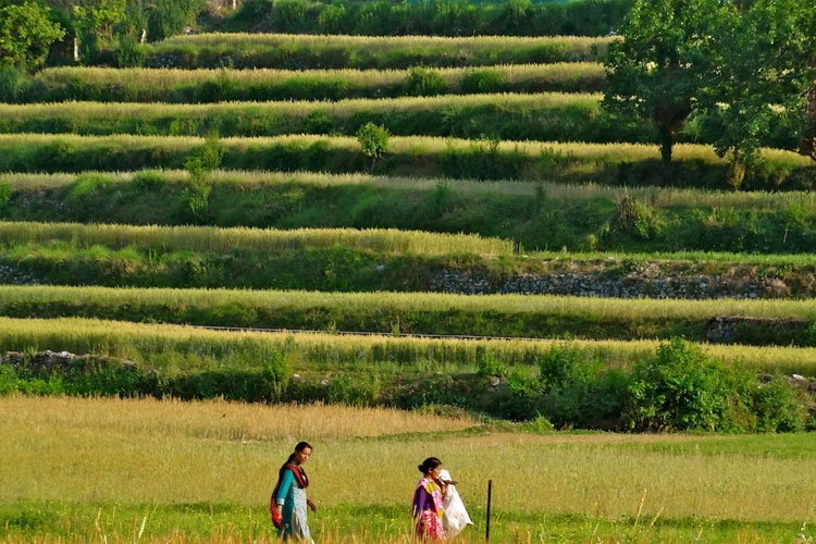 Buy Land in Uttarakhand
