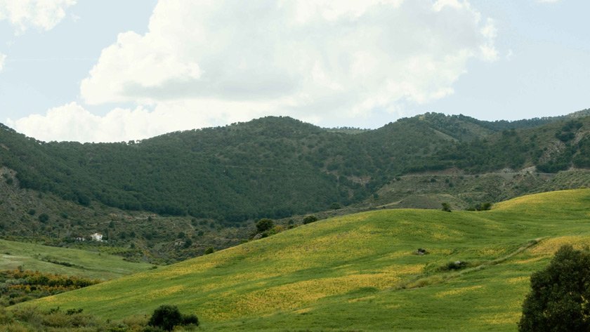 img-blog