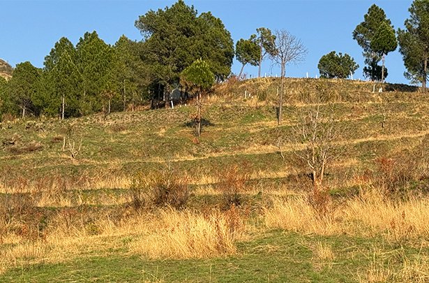 Land for Sale in Tehri, Uttarakhand