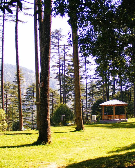 Narendra Nagar, Rishikesh