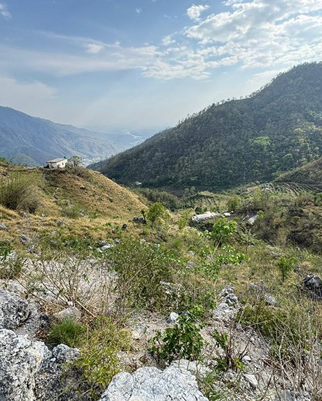 Narendra Nagar Property