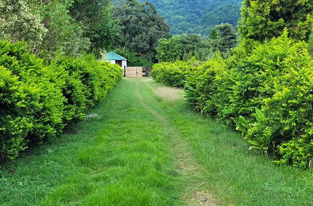Ranipokhari, Near Jolly Grant Airport, Dehradun